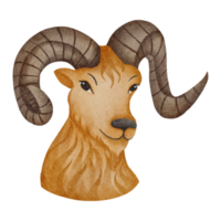 vattenfärg zodiaken aries png