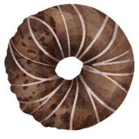 aquarelle Chocolat Donut png