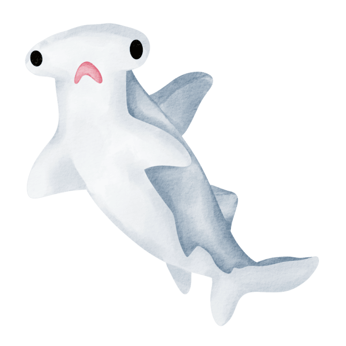 Baby Shark PNGs for Free Download