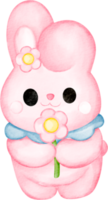 rabbit cartoon clip art png