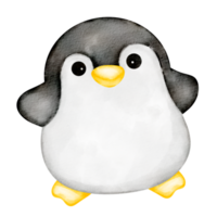 clipart pingouin aquarelle png