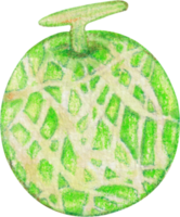 acuarela Cantalupo Fruta png