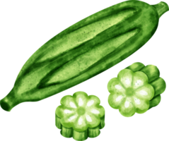 acuarela okra acortar Arte png