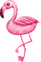 vattenfärg flamingo klämma konst png