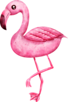 aquarelle flamant rose clipart png