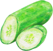 légume concombre aquarelle png