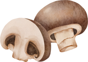 waterverf champignon paddestoel png