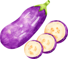 watercolor Eggplant clip art png