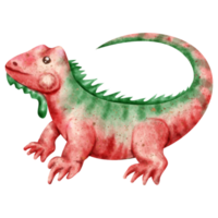 watercolor iguana clip art png