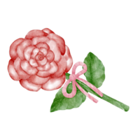 Rose aquarelle agrafe art png