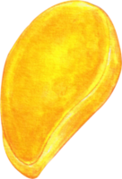 vattenfärg mango klämma konst png