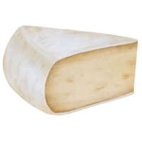 aquarelle fromage agrafe art png