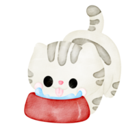 gato aquarela fofo png