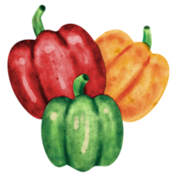 watercolor Bell pepper png