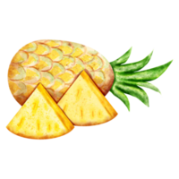 vattenfärg ananas frukt png