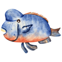 watercolor fish sea animal png