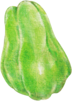 chayote vattenfärg klämma konst png