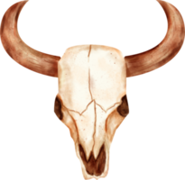 watercolor Skull clip art png