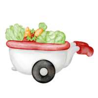 vattenfärg vegetabiliska bruka png