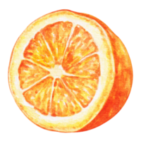 watercolor orange fruit png