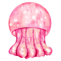 watercolor jellyfish sea animal png