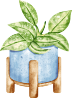 watercolor house plant png
