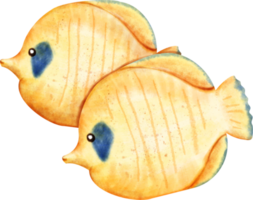 Aquarell Falterfisch Ozean png