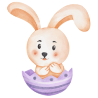 acuarela Pascua de Resurrección Conejo png