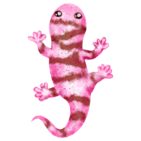 vattenfärg salamander klämma konst png