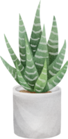 watercolor house plant png