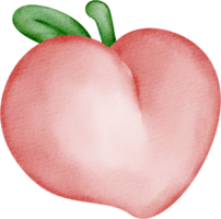 watercolor peach fruit clip art png