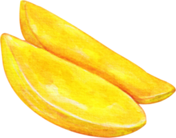 watercolor mango clip art png