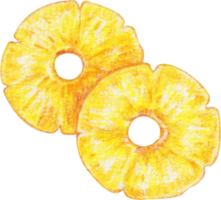 Aquarell Ananas Obst png