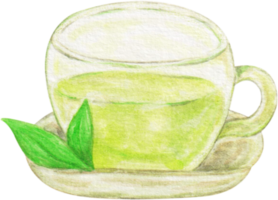 watercolor green tea png