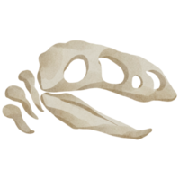 watercolor skull clip art png