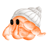 hermit crab clip art png