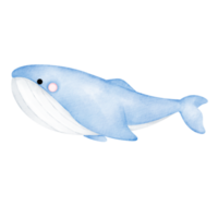 imágenes prediseñadas de acuarela de ballena png