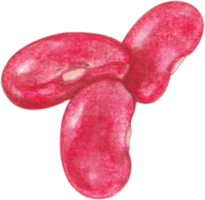 watercolor kidney beans png