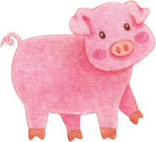 watercolor pig animal farm png