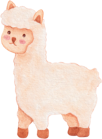 watercolor alpaca animal farm png