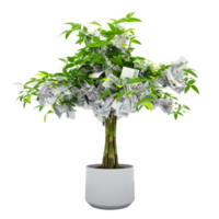 ceco koruna albero. 3d interpretazione di i soldi su albero isolato su trasparente sfondo. finanziario crescita png