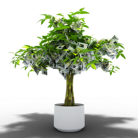 Romanian Leu tree. 3d rendering of Money on tree isolated on transparent background. financial growth png