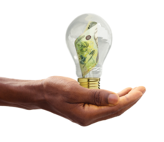 Black Hand holding 3d rendered Romanian note inside transparent light bulb, creative thinking. Making money by solving problem. Having idea concept png