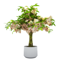 Venezuelan bolivar tree. 3d rendering of Money on tree isolated on transparent background. financial growth png