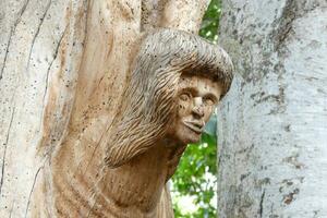 escultura en el forma de un cabeza tallado en un árbol rama foto