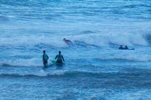 young athletes practising the water sport of surfing photo