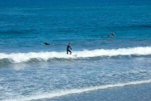 young athletes practising the water sport of surfing photo