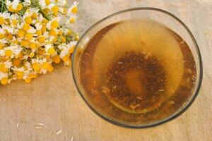 tincture of chamomile photo