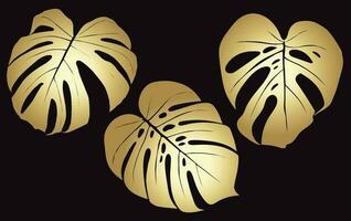 Monstera Deliciosa plant leaf from tropical forests isolated. Vector for greeting cards, flyers, invitations, web design