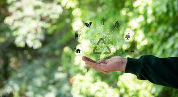 manos proteger globo y icono ambiental con verde árbol en tropical naturaleza verano fondo, ecología y ambiente. concepto de eco tierra día, ambiente día. proteger bosque recursos. foto